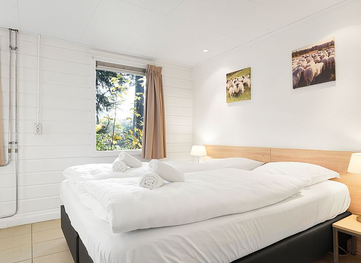 Gemuetliche Essecke in Het Land van Bartje, 2-Bett-Bungalow 2A in Ees, Nord-Drenthe.