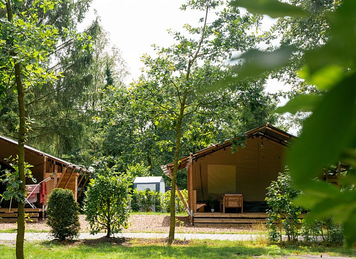Verblijf 182952 • Tenthuis Noord Drenthe • Safaritent + sanitair