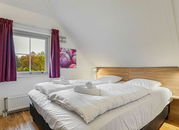 Guest house 182958 - Bungalow Noord Drenthe - Het Land van Bartje | 10-persoons boerderij | 10FL