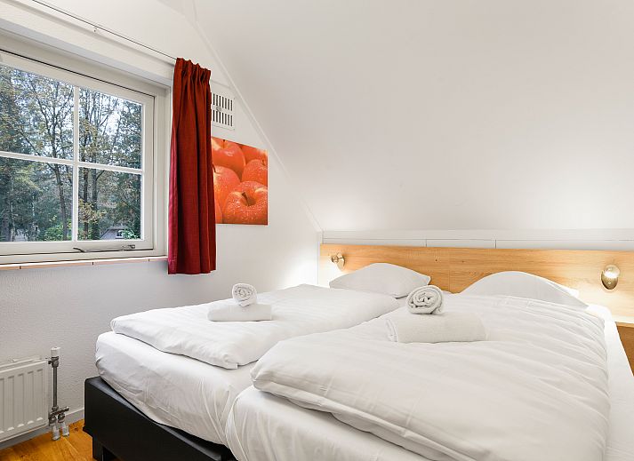 Guest house 182977 - Bungalow Noord Drenthe - Het Land van Bartje | 10-persoons kinderboerderij | 10LK