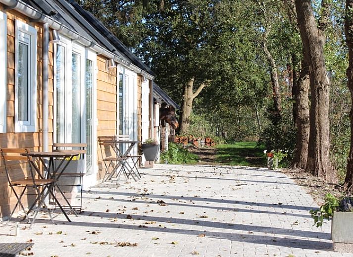 Vacation home in Nietap, North Drenthe, surrounded by green nature and rustic charm.