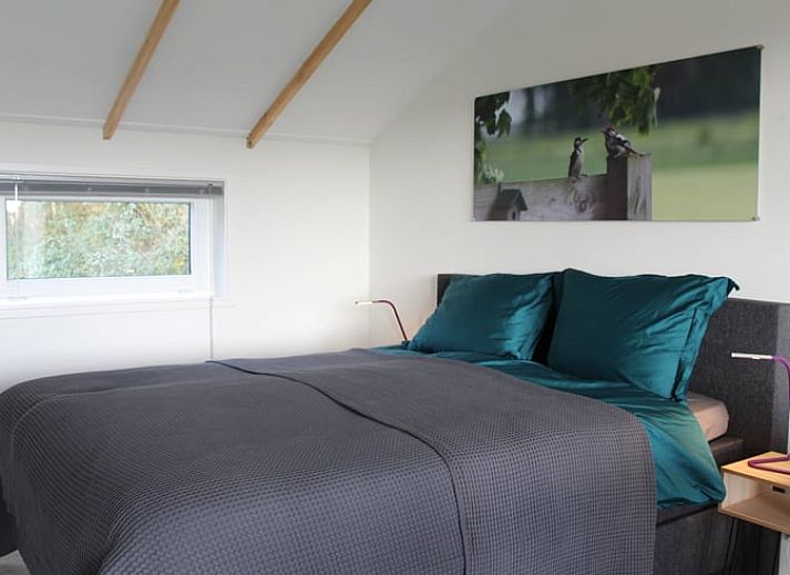 Terrace of Holiday Home in Nietap, North Drenthe, overlooking the wooded landscape.