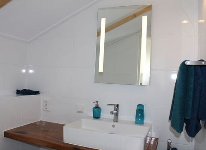 Terrace of Holiday Home in Nietap, North Drenthe, overlooking the wooded landscape.