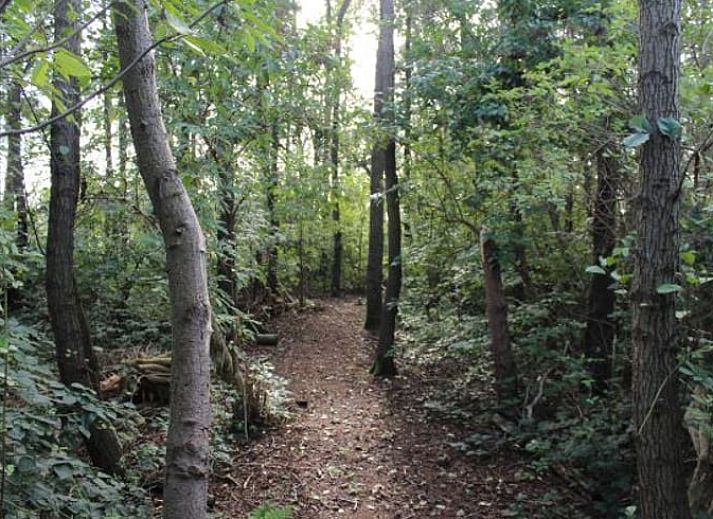 Sliding glass doors at Holiday Home in Nietap, North Drenthe, offer views of expansive fields.