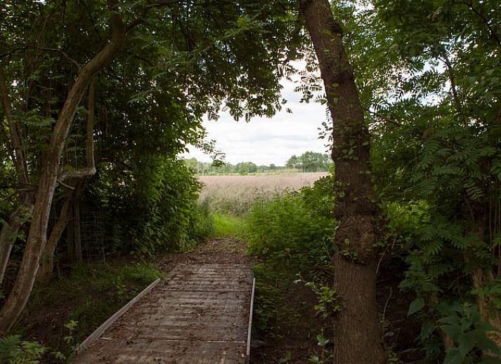 Comfortable seating area in Holiday Home in Nietap, North Drenthe, with panoramic views of nature.