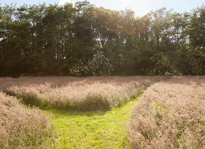 Comfortable seating area in Holiday Home in Nietap, North Drenthe, with panoramic views of nature.