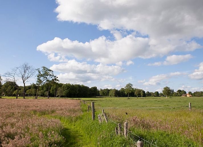 Comfortable seating area in Holiday Home in Nietap, North Drenthe, with panoramic views of nature.