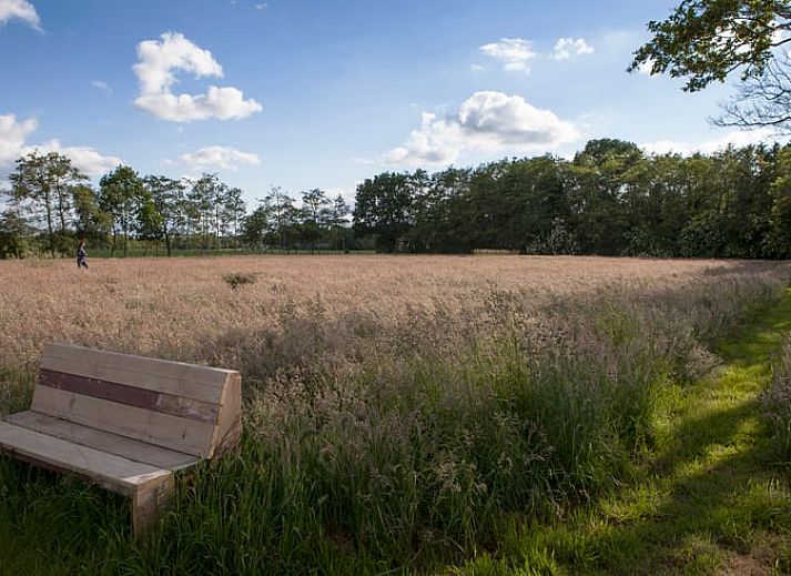 Comfortable seating area in Holiday Home in Nietap, North Drenthe, with panoramic views of nature.