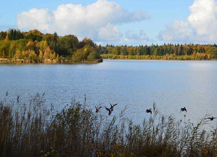 Gemuetliche Kueche und Essbereich in DG705 Ferienhaus Ellertshaar Drenthe mit grossem Tisch.