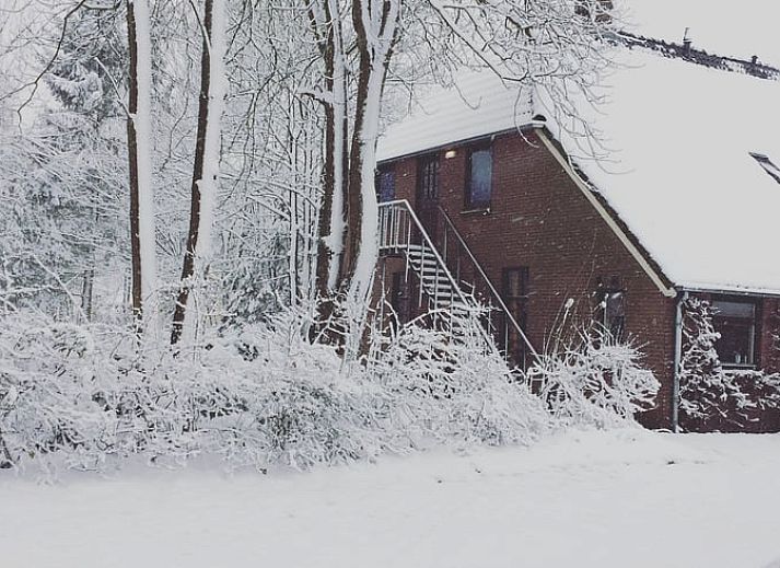 Guest house 183223 - Holiday property Noord Drenthe - Vakantiehuis in Ellertshaar