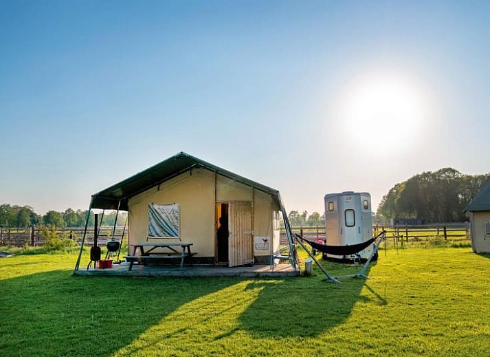 Verblijf 183229 - Tenthuis Noord Drenthe - Luxe Ranchtent