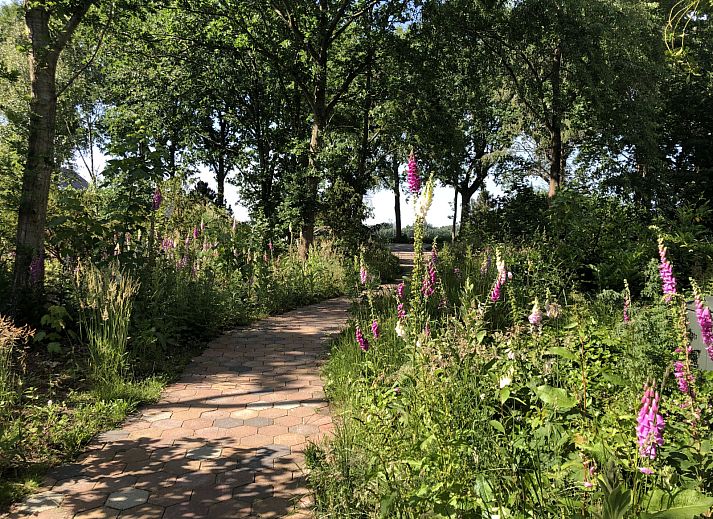 Guest house 183231 - Holiday property Noord Drenthe - DG2149