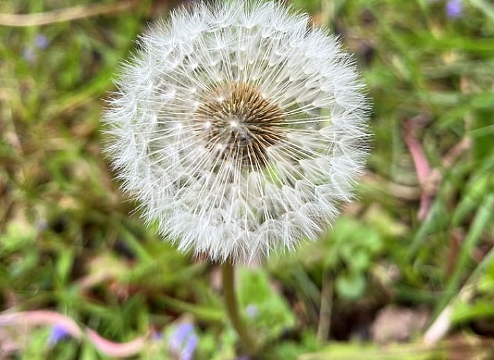Moderne woonkamer met flatscreen TV in Huisje in Lieveren, vakantiehuis in Noord Drenthe.