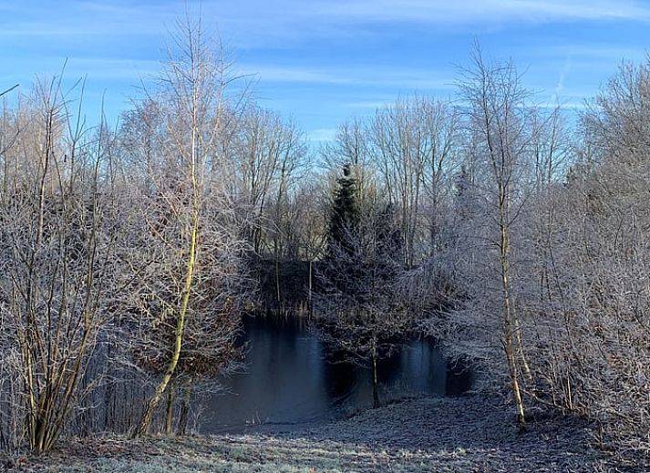 Comfortabele zithoek in Huisje in Lieveren, vakantieaccommodatie in Noord Drenthe, ideaal voor ontspanning.