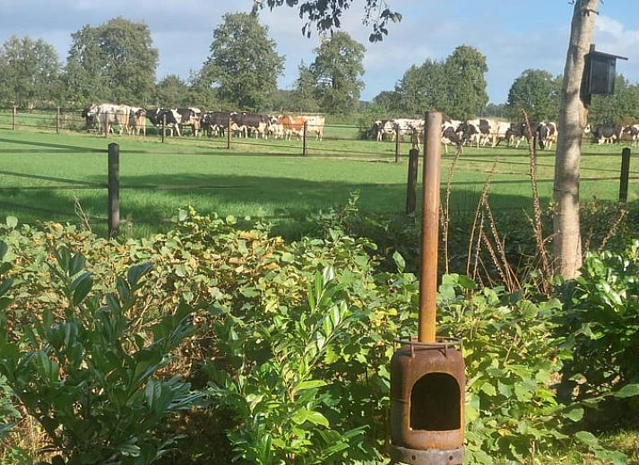 Gezellige woonkamer met houten salontafel in Huisje in Lieveren, vakantiehuis in Noord Drenthe.