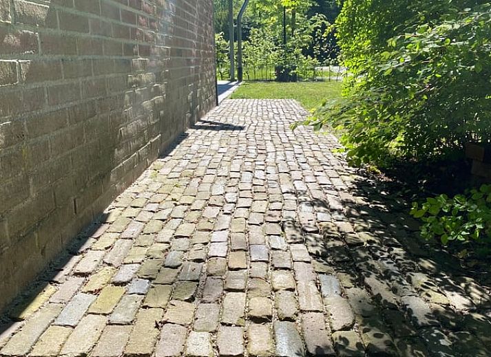 Cottage in Vries, Ferienhaus in Nord-Drenthe, umgeben von gruener Natur und sonnigen Terrassen.