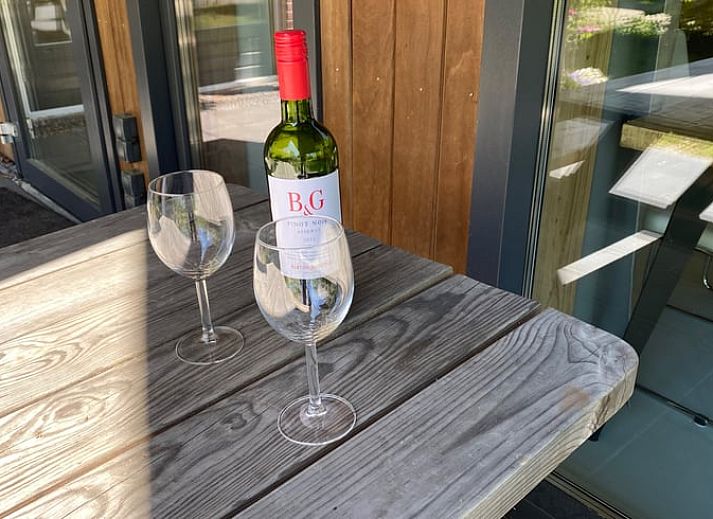 Veranda von Cottage in Vries, Ferienhaus in Drenthe mit Picknicktisch und Sonnenschirm.