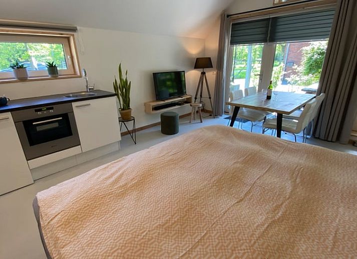 Gemuetliches Beisammensein auf der Terrasse von Huisje in Vries, Ferienhaus in Nord-Drenthe.