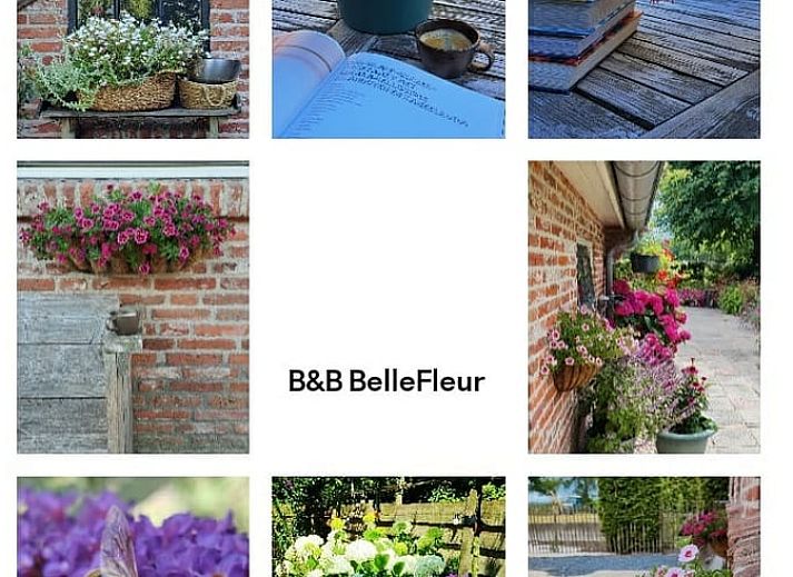 Verblijf 183606 - Vakantiewoning Noord Drenthe - Huisje in Roderwolde