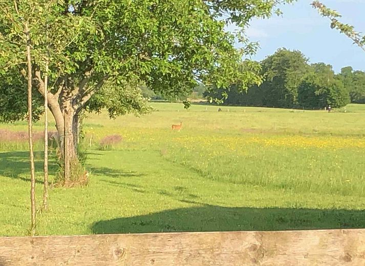 Guest house 183610 - Holiday property Noord Drenthe - DG1047