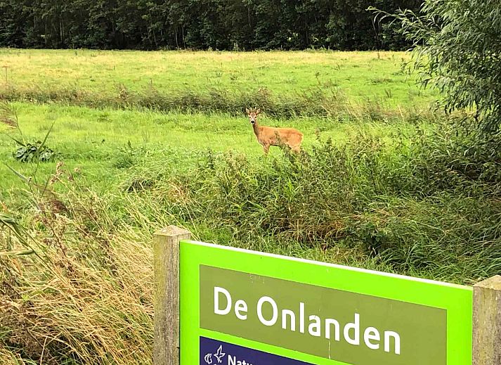 Guest house 183610 - Holiday property Noord Drenthe - DG1047