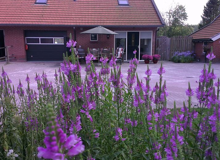 Unterkunft 183703 - Ferienhaus Noord Drenthe - Huisje in Roderesch