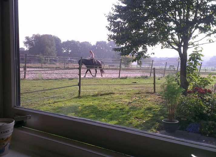 Unterkunft 183703 - Ferienhaus Noord Drenthe - Huisje in Roderesch
