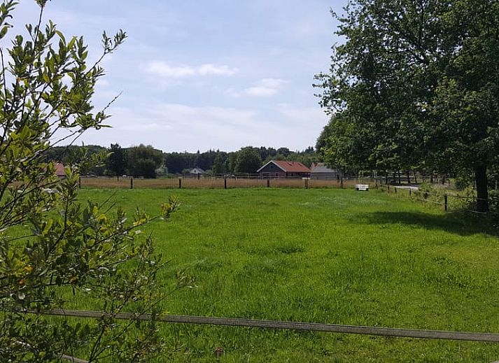 Unterkunft 183703 - Ferienhaus Noord Drenthe - Huisje in Roderesch