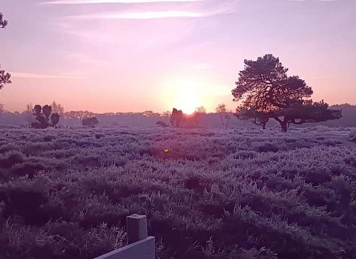 Lichtovergoten binnenruimte van Vakantiehuisje in Zeegse, Drenthe, met uitzicht op de tuin.