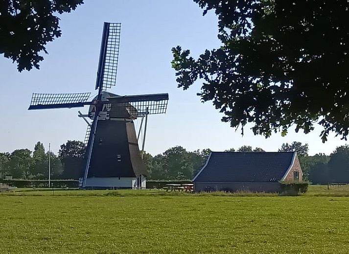 Ruim terras van Vakantiehuisje in Zeegse, Drenthe, met uitzicht op de natuur.