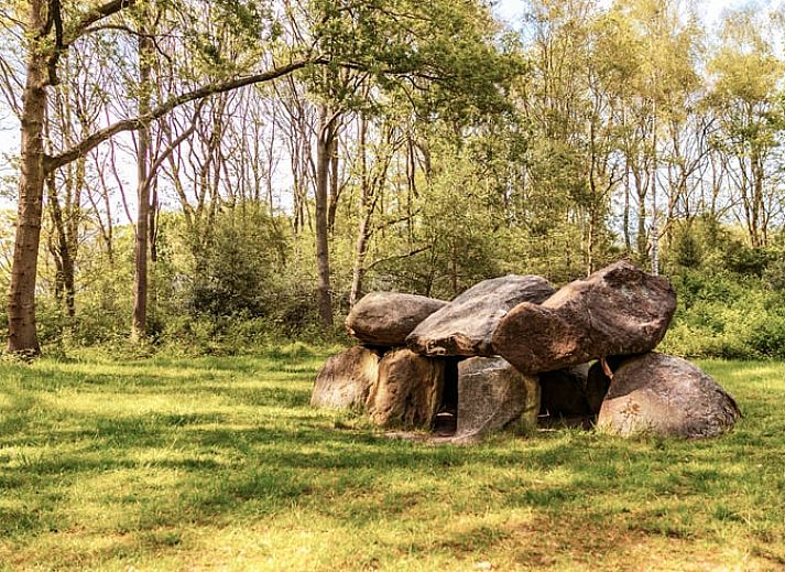 Unterkunft 183815 - Ferienhaus Noord Drenthe - Huisje in Zeegse
