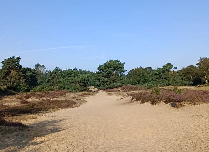 Unterkunft 183816 - Ferienhaus Noord Drenthe - Huisje in Zeegse