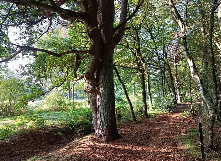 Unterkunft 183816 - Ferienhaus Noord Drenthe - Huisje in Zeegse