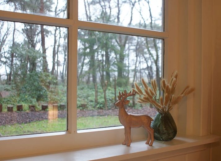 Eetruimte in Huisje in Steenbergen, vakantiehuis in Noord Drenthe met moderne keuken en eethoek voor gezellige maaltijden.