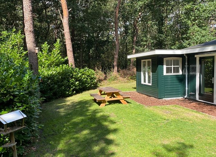 Lichte woonkamer in Huisje in Steenbergen, vakantiehuis in Drenthe met uitzicht op groene tuin en serene omgeving.