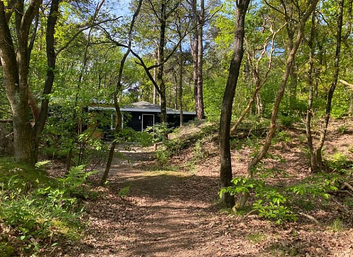 Functionele keuken in Huisje in Steenbergen, vakantiehuis in Noord Drenthe met houten eettafel en moderne voorzieningen.