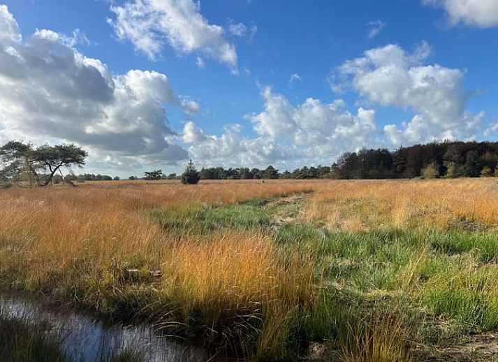 Luchtfoto van Vakantiehuis in Veenhuizen, prachtig gelegen in het groene Drenthe.