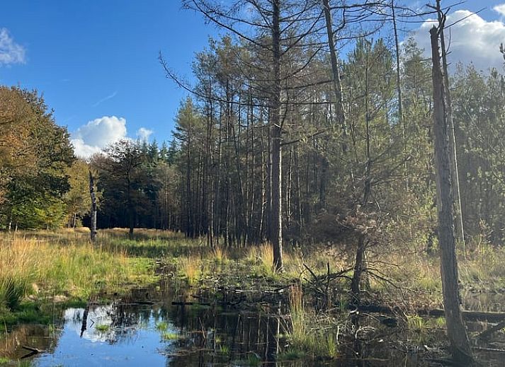 Luchtfoto van Vakantiehuis in Veenhuizen, prachtig gelegen in het groene Drenthe.