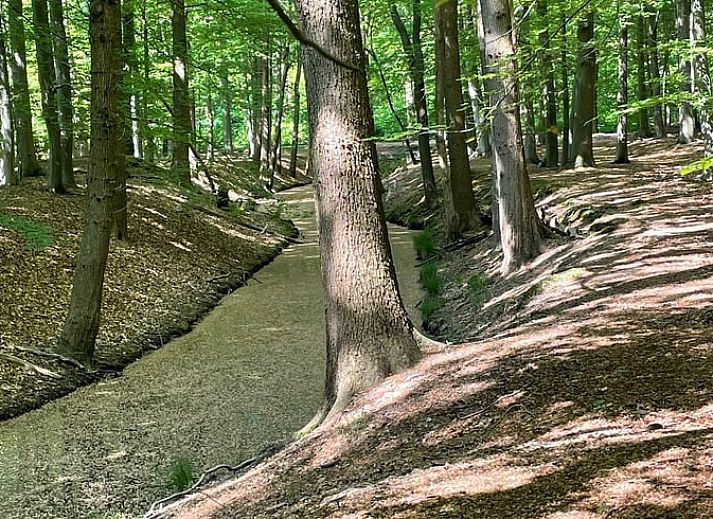 Cozy living room of Huisje in Veenhuizen, vacation home in North Drenthe, with vintage interior and lots of natural light.