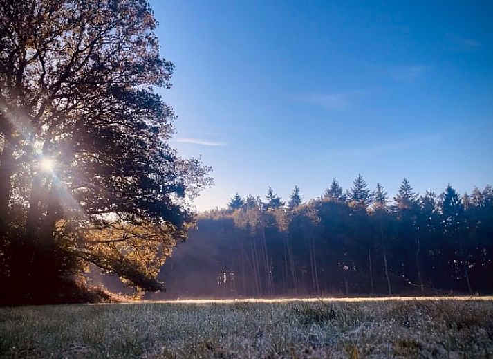 Cozy interior in a cottage in Veenhuizen, North Drenthe, with large windows and a rustic interior for a relaxing stay.