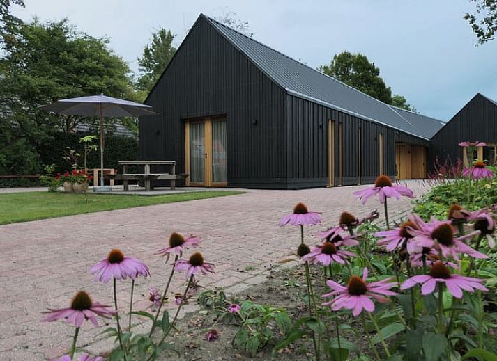 Huisje in Bunne, vakantiehuis in Noord Drenthe, Drenthe met moderne veranda en bloeiende tuin, ideaal voor natuurliefhebbers.