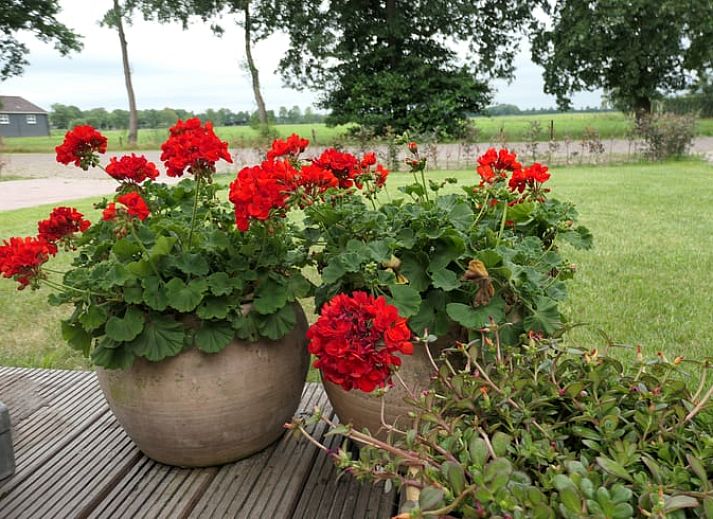 Moderne keuken in Huisje in Bunne, vakantiewoning in Bunne, Noord Drenthe, met stijlvolle inrichting en praktische voorzieningen.