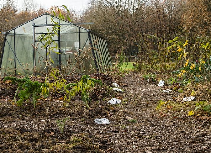 Geniet van de groene tuin en het overdekte terras bij Vakantiehuis in Drouwen, gelegen in het serene Noord Drenthe, Drenthe.