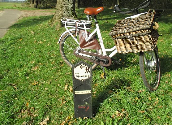 Geniet van de rust op de veranda van Vakantiehuis in Drouwen, omgeven door de natuur in Noord Drenthe, Drenthe.