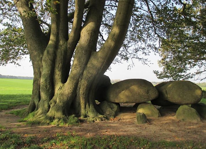 Geniet van de rust op de veranda van Vakantiehuis in Drouwen, omgeven door de natuur in Noord Drenthe, Drenthe.