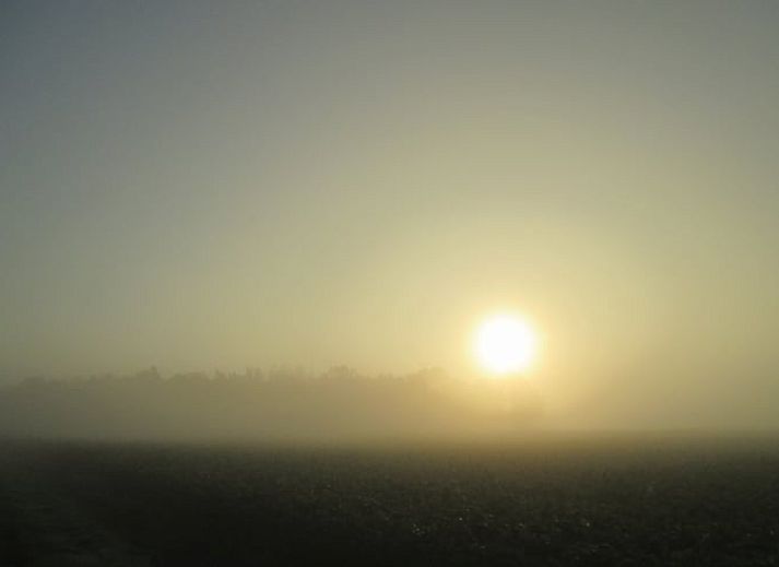 Gezellige binnenruimte van Vakantiehuis in Drouwen, Noord Drenthe, met een rustieke inrichting en moderne keukenfaciliteiten.