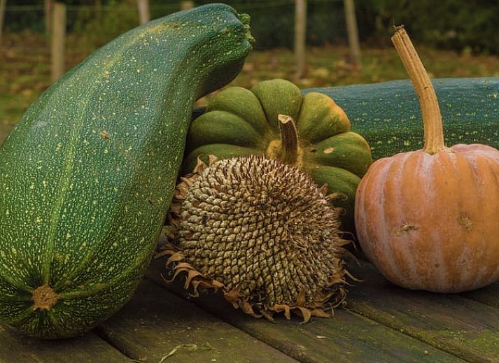 Gezellige eetruimte in Vakantiehuis in Drouwen, Noord Drenthe, met uitzicht op groene natuur.