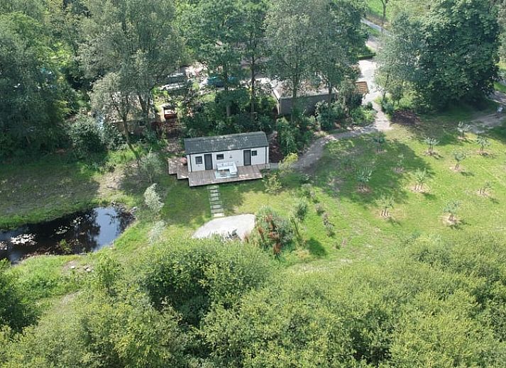 Vakantiehuisje in Ekehaar, Noord Drenthe, met sfeervolle verlichting op het terras omgeven door natuur.