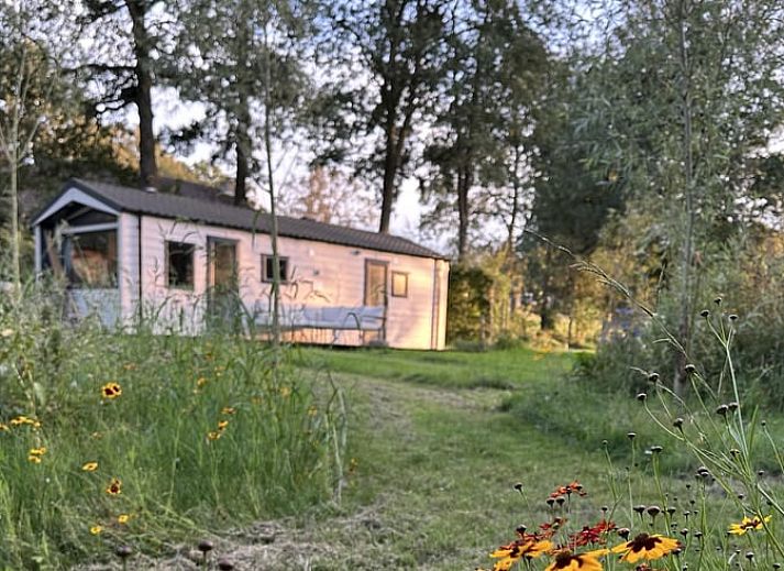 Stijlvolle eetkamer in Vakantiehuisje in Ekehaar, Noord Drenthe, met kunstzinnige muurdecoratie.