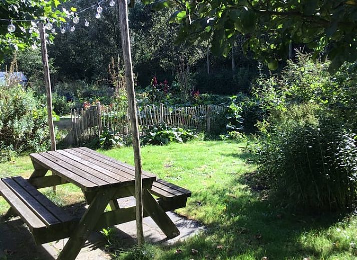 Unterkunft 184504 - Ferienhaus Noord Drenthe - Vakantiehuis in Ekehaar